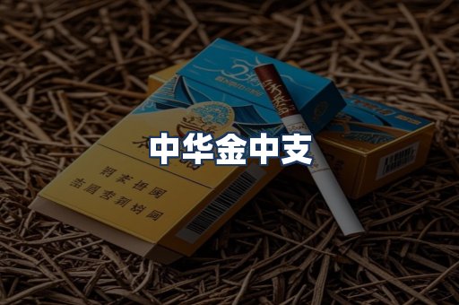 中华金中支